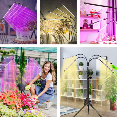 Lampe Horticole LED 360° - PetitBricolage