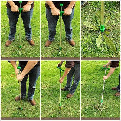 Désherbeur manuel anti mauvaise herbe - PetitBricolage