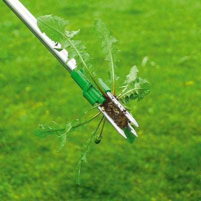Désherbeur manuel anti mauvaise herbe - PetitBricolage