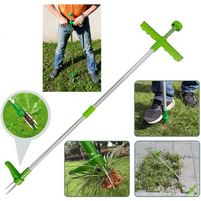 Désherbeur manuel anti mauvaise herbe - PetitBricolage