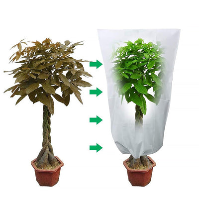 2 x Housse de protection pour plantes et arbres - PetitBricolage