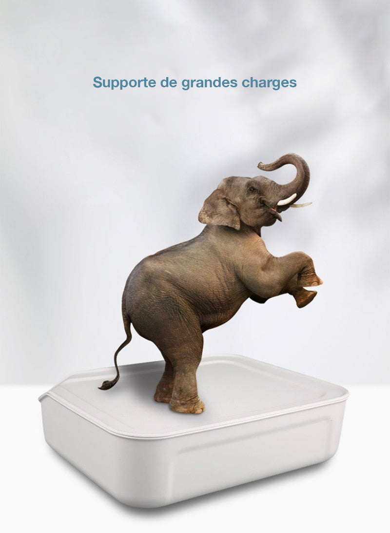 Roulettes universelles autoadhésives pour meubles - PetitBricolage