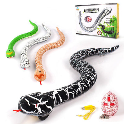 Serpent télécommandé - PetitBricolage