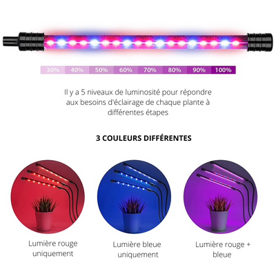 Lampe Horticole LED 360° - PetitBricolage