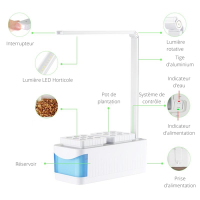 Mini Potager d'intérieur - PetitBricolage