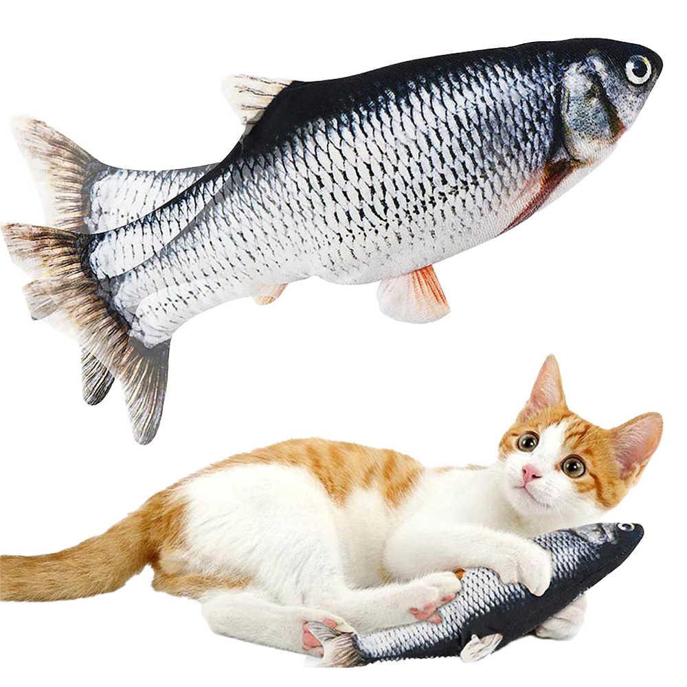 Poisson fou - PetitBricolage