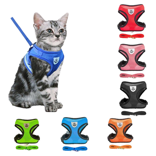 Harnais chien et chat - PetitBricolage