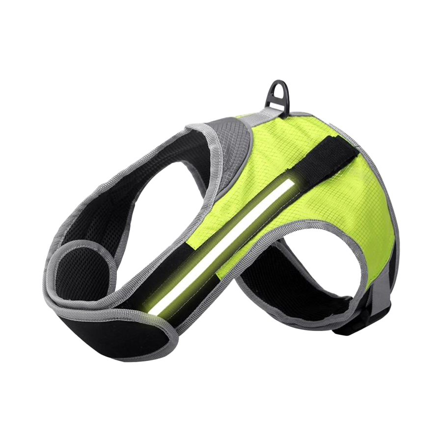 Harnais lumineux - PetitBricolage