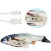 Poisson fou - PetitBricolage