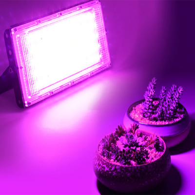 2x Lampes LED à spectre pour plantes - PetitBricolage