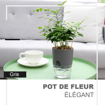 2 Pots de fleurs design - Avec système d'auto-irrigation - PetitBricolage